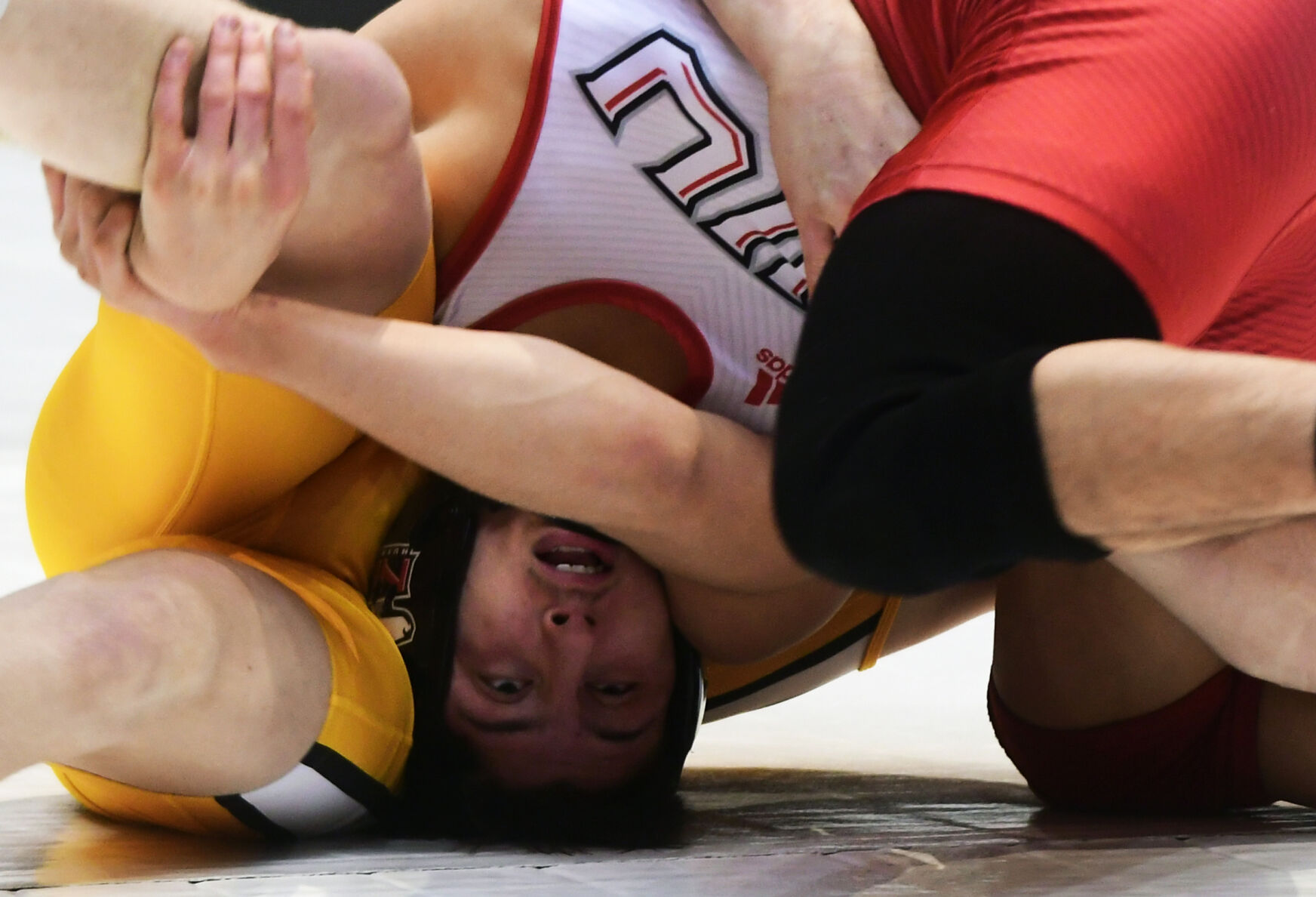 Anthony Cheloni grapples underneath Brock Mauller